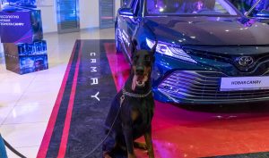 Презентация Toyota Camry&nbsp;2018
